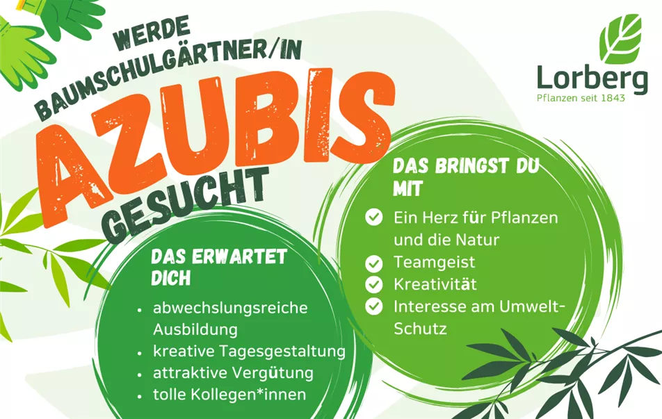 ausbildung2025.png