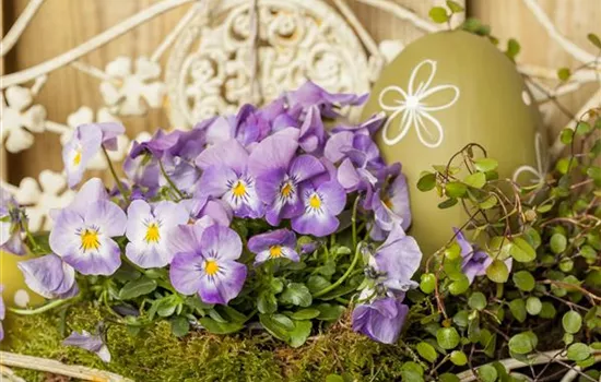 A colorful Easter celebration with the perfect harbingers of spring A colorful Easter celebration with the perfect harbingers of spring