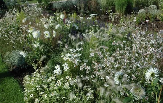 All in White – Elegant Garden Design with Style. All in White – Elegant Garden Design with Style.